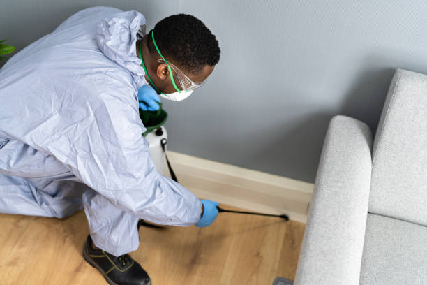 Real Estate Pest Inspections in Key Biscayne, FL